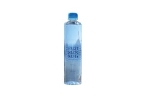 FUJI SUN SUI