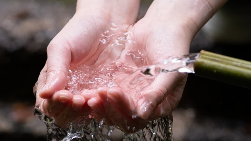 採水地の自然風景・日本の名水のイメージ