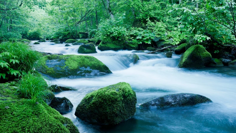ダムと山の水源——貯水率低下と渇水の背景にある水循環のイメージ